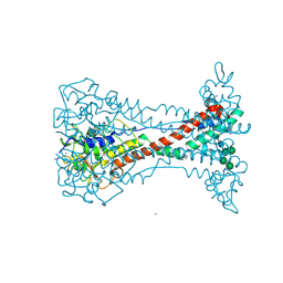 BU of 8ok5 by Molmil