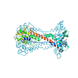 BU of 8ok6 by Molmil