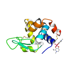 BU of 8oms by Molmil