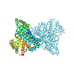 BU of 8omx by Molmil