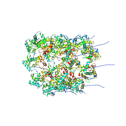 BU of 8opb by Molmil