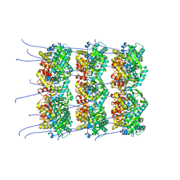 BU of 8opd by Molmil