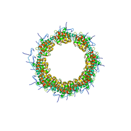 BU of 8opg by Molmil