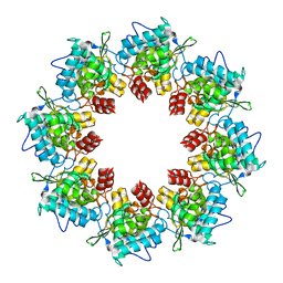 BU of 8oph by Molmil