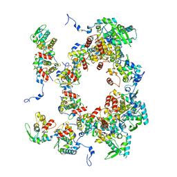 BU of 8opk by Molmil