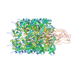 BU of 8opl by Molmil