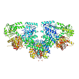 BU of 8opv by Molmil