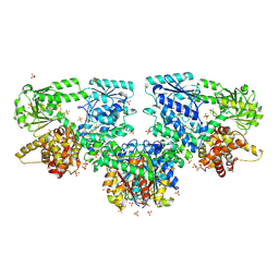 BU of 8oql by Molmil