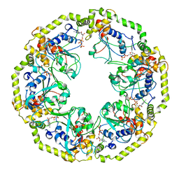 BU of 8osf by Molmil