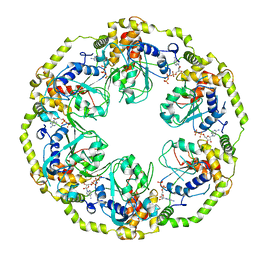 BU of 8osg by Molmil