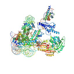 BU of 8osl by Molmil