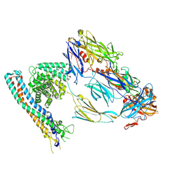 BU of 8ovb by Molmil