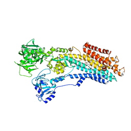 BU of 8owa by Molmil