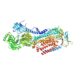 BU of 8oxb by Molmil