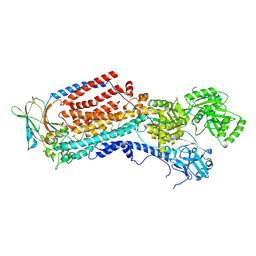 BU of 8oxc by Molmil