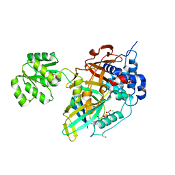 BU of 8oyp by Molmil