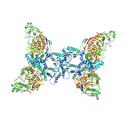 BU of 8ozg by Molmil