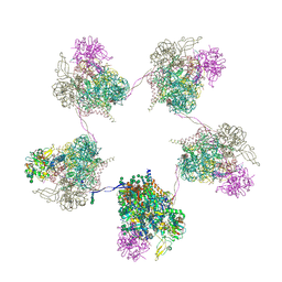 BU of 8ozp by Molmil