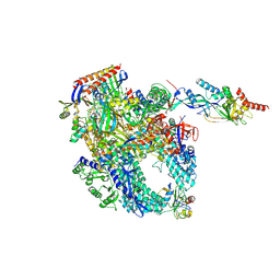 BU of 8p2i by Molmil