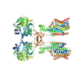 BU of 8p2x by Molmil