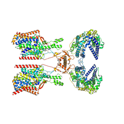 BU of 8p2y by Molmil