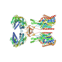 BU of 8p31 by Molmil