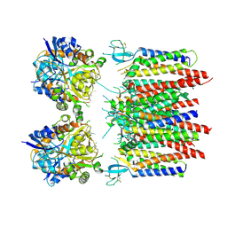 BU of 8p3x by Molmil