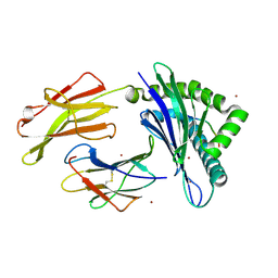 BU of 8p43 by Molmil