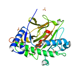 BU of 8p46 by Molmil