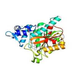 BU of 8pb4 by Molmil