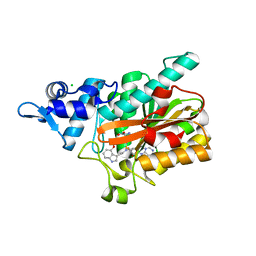 BU of 8pb6 by Molmil