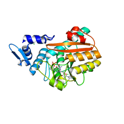 BU of 8pb7 by Molmil