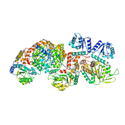 BU of 8pb9 by Molmil