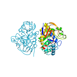 BU of 8pbq by Molmil