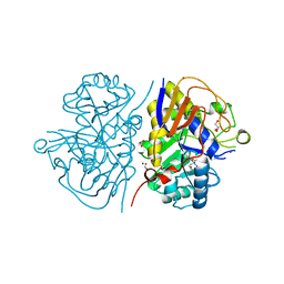 BU of 8pbs by Molmil