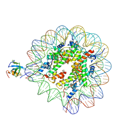 BU of 8pc5 by Molmil