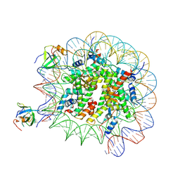 BU of 8pc6 by Molmil