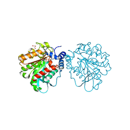 BU of 8pc7 by Molmil