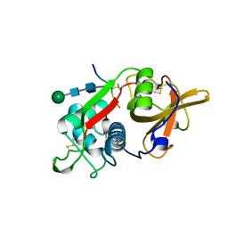 BU of 8pch by Molmil