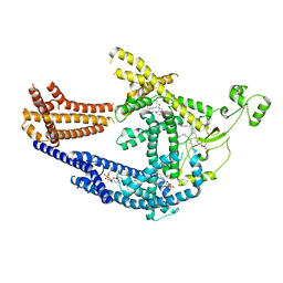 BU of 8pd0 by Molmil