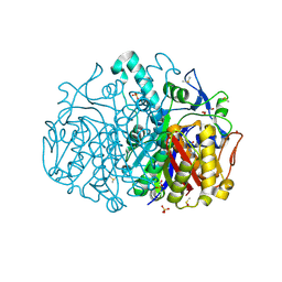 BU of 8pd1 by Molmil