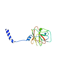 BU of 8pd4 by Molmil