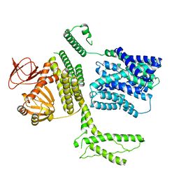 BU of 8pd5 by Molmil