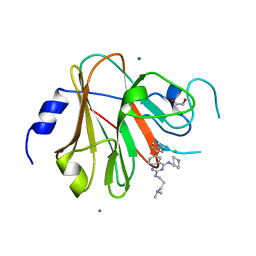 BU of 8pd6 by Molmil