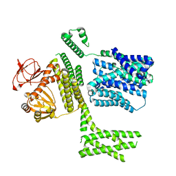 BU of 8pd7 by Molmil