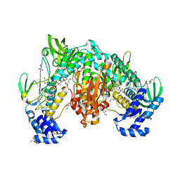 BU of 8pdd by Molmil