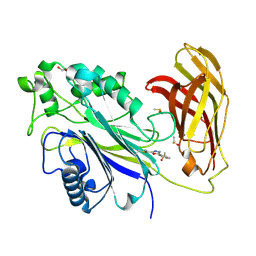 BU of 8pdh by Molmil