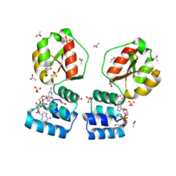 BU of 8pdk by Molmil