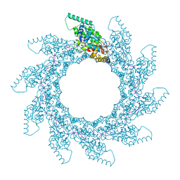 BU of 8pdl by Molmil