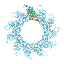 BU of 8pdm by Molmil